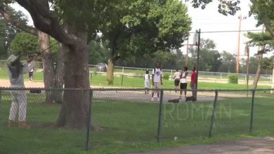 осторожно пчёлы!