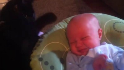 Что может "Бомбей"