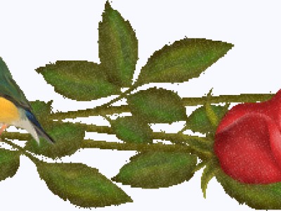 Птичка и розы