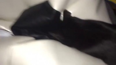 Первая мышь