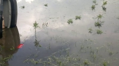 Девушка попросила покатать её