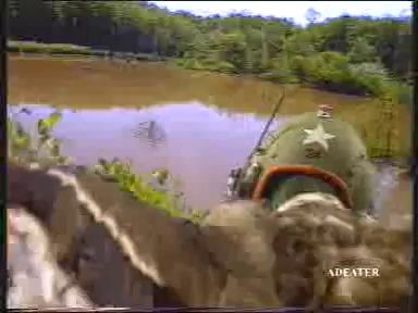 Утки атакуют!