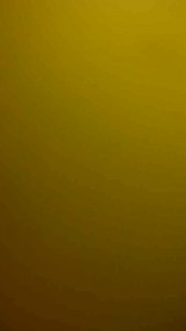 Пруд. Вид изнутри.