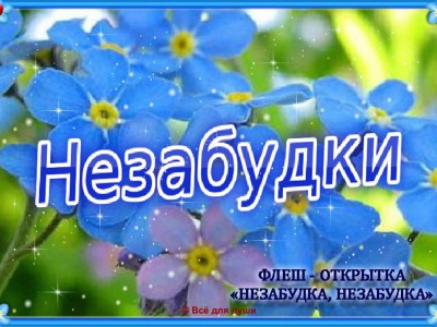 Незабудки