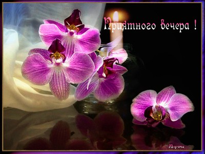 Приятного вечера !