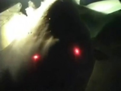 Глубоководная хрень