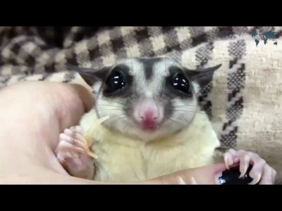 Точим вкусняшку 