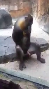 Когда заканчиваются дотации...