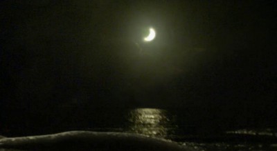 Мегалодон атакует кита