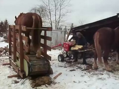 Лошадь на тренажере