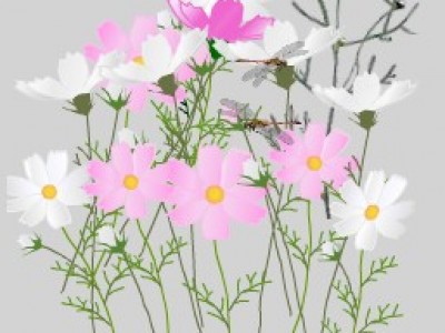 Цветочки в саду