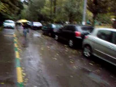 дворовое автомесиво