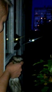 Хорь VS КотЭ