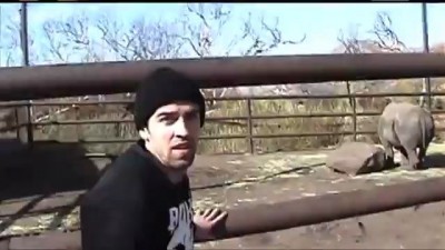 Родео на носороге . 