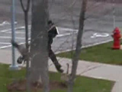 Гуси атакуют!