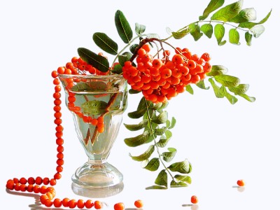 Приветствие