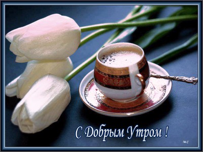 Доброе утро !