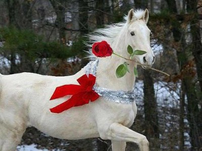 Скоро Новый год.