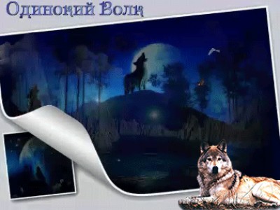 Одинокий Волк