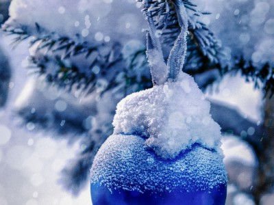 Счастья в новом году !