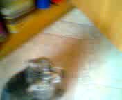 Если не дают - возьму сам