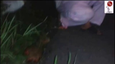 Переломился хруст немножко ...