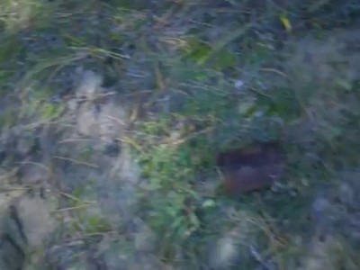 Delta Pulse  (Режим Авто)