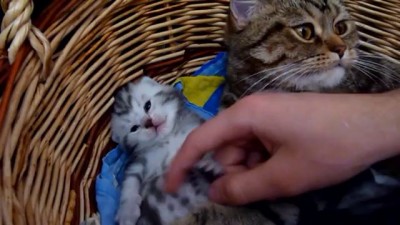 Жизнь прекрасна.