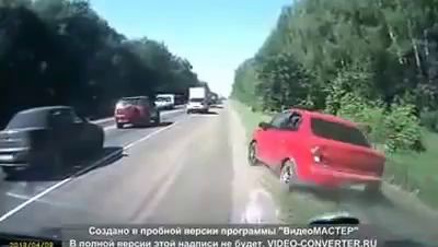 Борзый, комнатный орел