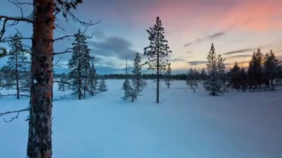 Самое красивое видео