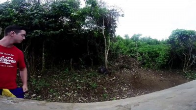 Обезьянка украла камеру