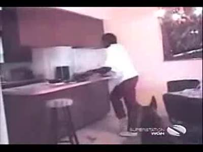 Лобстеры чуть ее не сьели