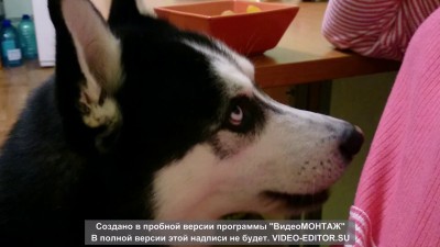 Люблю я сухофрукты