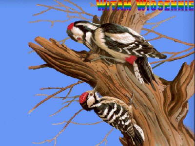 Szukaj mnie - почем я знаю