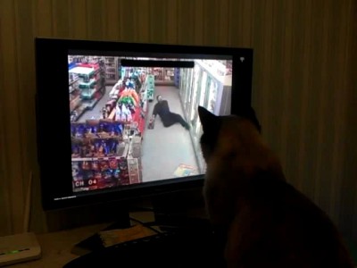 Наш кот сочувствует этому парню!