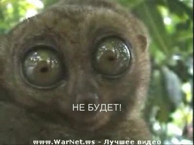 Позитифчик