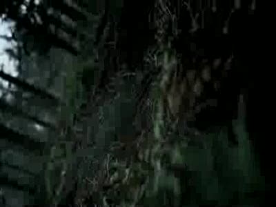 Рождественская страшилка