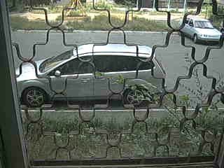 Кекс проголодался.