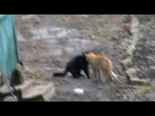 Поговорили по душам)