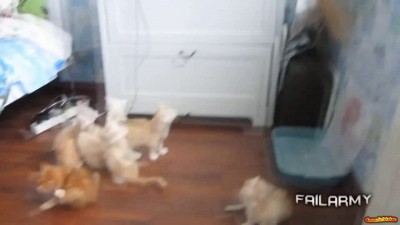 Испугались