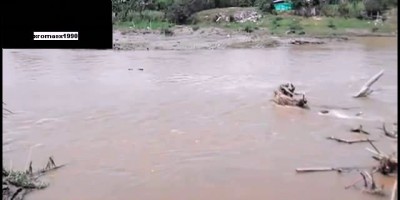 Выкинула на берег реки ...