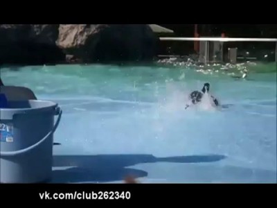 И есть хочется, и страшно...