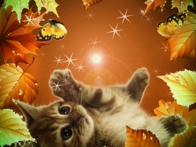 Shahin & Sepehr - One Thousand & One Nights