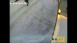 Пообщался с собачками