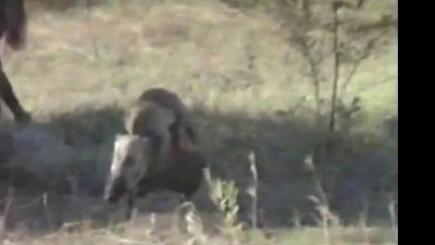 неуловимые