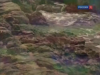 Неизвестные страницы Крымской войны