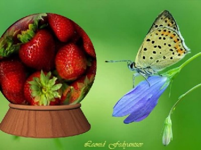 Шарик с бабочкой