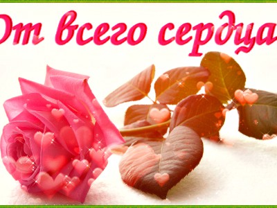 ОТ ВСЕГО СЕРДЦА.