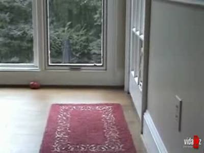 Все потому, что кто-то слишком много есть...