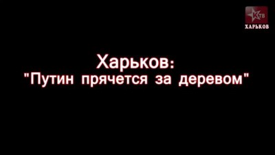 Харьков: "Путин прячется за деревом"